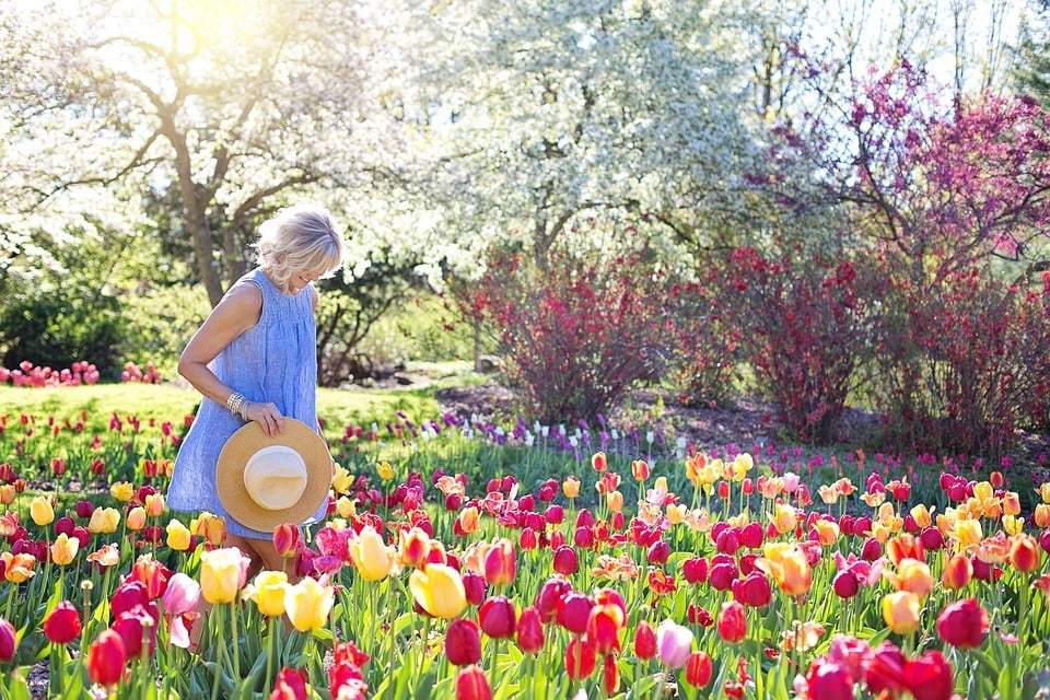 Sélection de plantes pour un jardin beau et sans tracas